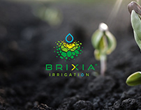 Brixia Irrigation - Logo