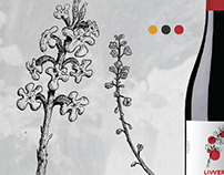 Valley Flowers I: Illustration & Study. Wine Identity.