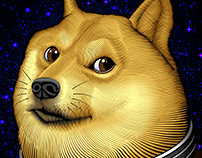 Dogecoin rash guard illustration