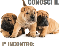 Poster/Print ACU Associazione Cinofila Ufitana