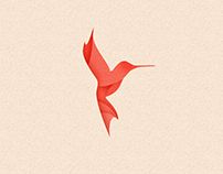 Logo, Branding and  Website Kolibri | Werbeagentur