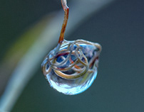 the world of water drops