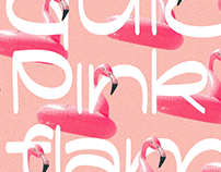 Pink Flamingo Font