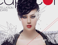 Capricorn 2010- Cover