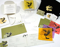 Visual Identity Systems, Posters & Print Collateral