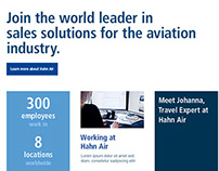 Hahn Air ˙ Career Section