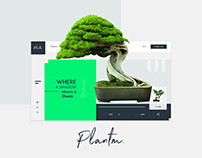 Plantm Concept_