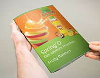 SpringO Catalogue