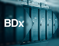 Big Data Exchange (BDX)