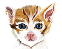 Illustration: Kitten /ˈkɪt(ə)n/
