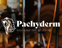 Pachyderm Recording Studio