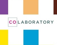 COLAB | Program Development + Mentorship