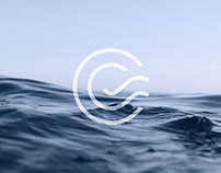 Clarity Squared ❯ Logo & Brand Identity
