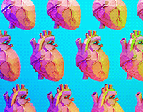 Human Heart Series
