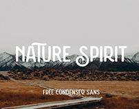 NATURE SPIRIT - FREE VINTAGE SANS SERIF FONT