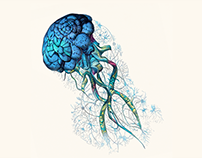 Jellyfish Brain