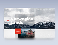 Website Design for Travel Company