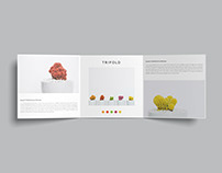 Free Download Square Trifold Brochure Mockups