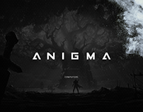 Anigma Computers - Branding and Web Design