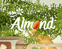 Yoplait - Almond