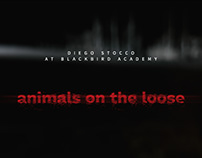 Animals On The Loose