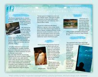 Boston Aquarium Brochure Design by K. Fairbanks