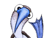 The Blue-Footed Booby Dance