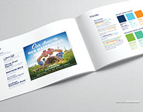 Canalside Brand Guide and Collateral