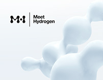 Meet Hydrogen Identity