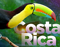 Costa Rica Toucan