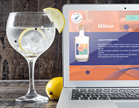 Il Gin del Viaggiatore: branding, packaging, web,motion