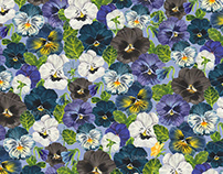 Watercolor pansy flowers- blue mix