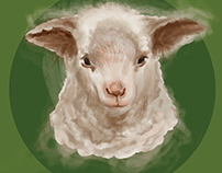 Little lamb - Kuzucuk