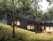 Small modern house in the woods