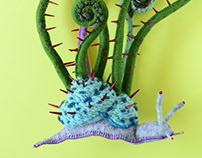 Spiky Snail Fiddlehead