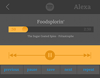 Alexa Spotify Interface