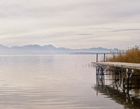 Trees and water @film (Chiemsee, Bavaria)