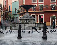 Plaza Baratillo, Guanajuato
