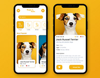 Happy Paws - Pet Mobile App Concept Design