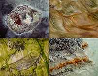 STREAMBEDS: Abstract Studies