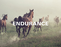 Tabiat Endurance / Visual Identity
