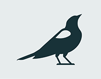Blackbird | Branding