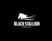 Black Stallion Transportation