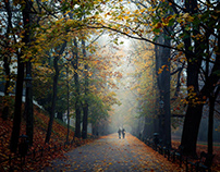 Autumnal Krakow on a misty morning