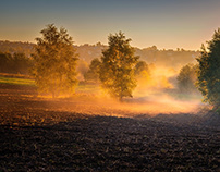 Autumn morning in the countryside II