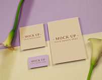 Mock-up Pack 1