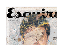 Esquire Media Art Project