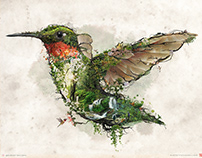 Hummingbird surreal digital animal art