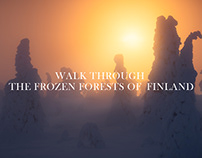 A Walk Through the Frozen Forests of Finland