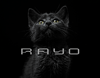 RAYO (Brand & Photography Creation)